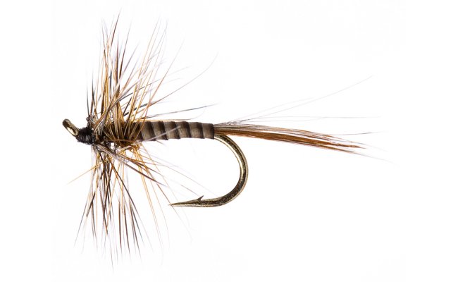 Beacon Beige Beacon Beige, vel. 16