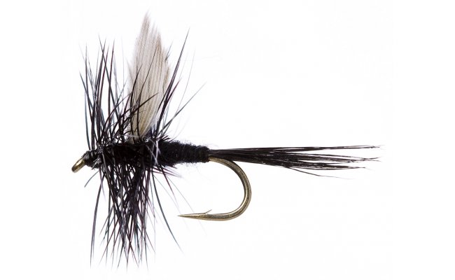 Black Gnat Black Gnat, vel. 16