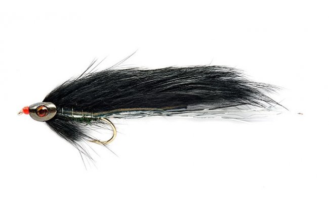 Black Zonker Skullhead Black Zonker Skullhead, vel. 4