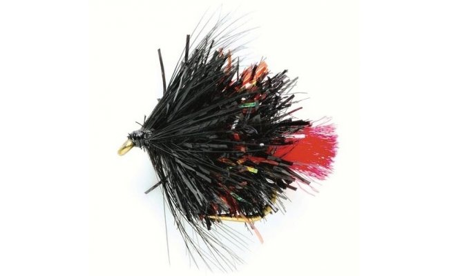 Blob Bibio Blob Bibio, vel. 10