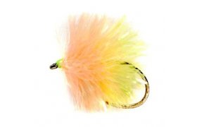 Blob Biscuit B/L Blob Biscuit B/L, vel. 10