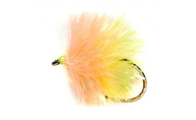 Blob Biscuit B/L Blob Biscuit B/L, vel. 10