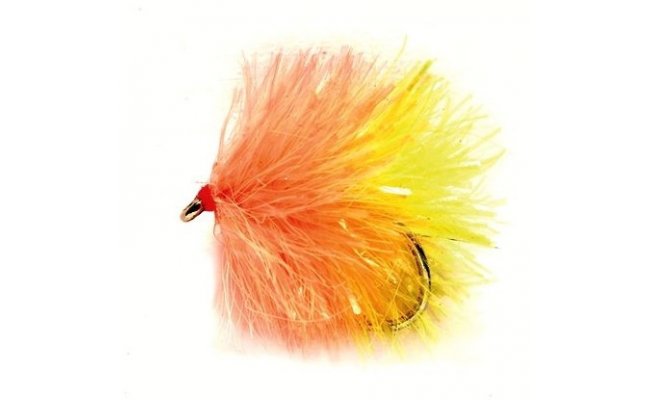 Blob Biscuit Blob Biscuit, vel. 10