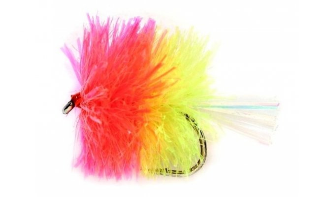 Blob Coctail Coral  Blob Coctail Coral, vel. 10