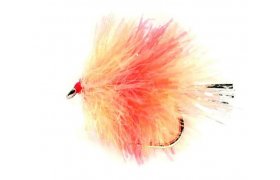 Blob Coral Spot Blob Coral Spot, vel. 10