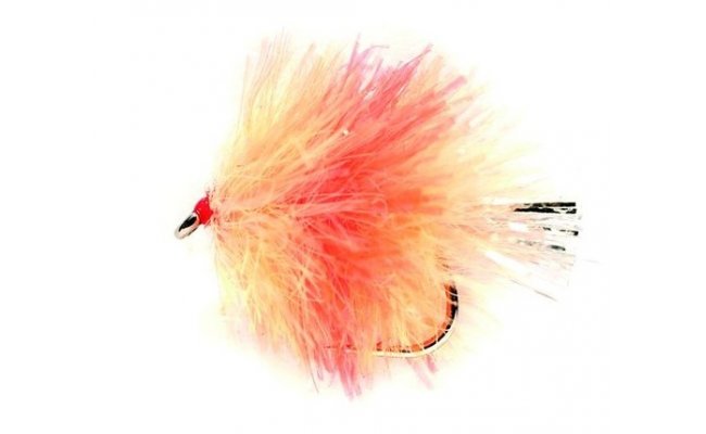 Blob Coral Spot Blob Coral Spot, vel. 10