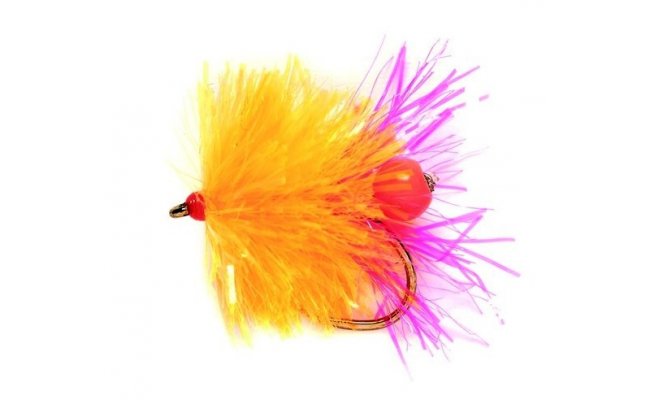 Blob Egg Laying Sunburst Blob Egg Laying Sunburst, vel. 10