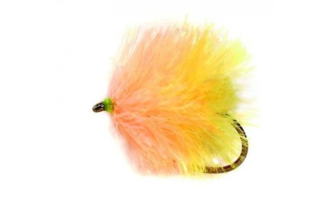 Blob FAB Biscuit B/L Blob FAB Biscuit B/L, vel. 10