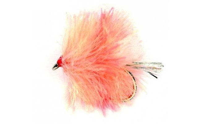 Blob FAB Coral Spot Blob FAB Coral Spot, vel. 10