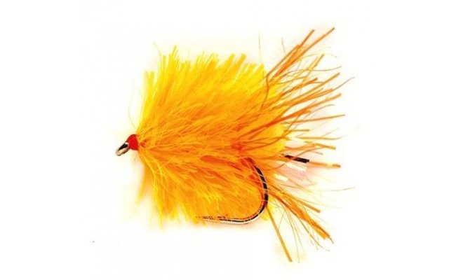 Blob FAB Sunburst Fire Tail Blob FAB Sunburst Fire Tail, vel. 10