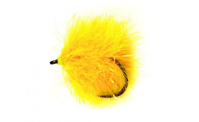 Blob Leaded Sunburst B/L Blob Leaded Sunburst B/L, vel. 10