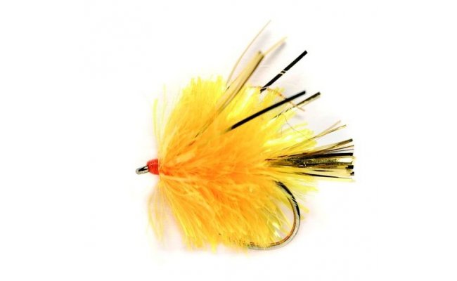 Blob Sunburst with Wings B/L Blob Sunburst with Wings B/L, vel. 10