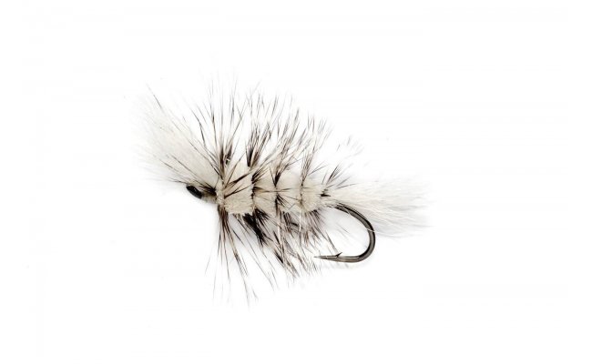 Bomber White Bomber White, vel. 02