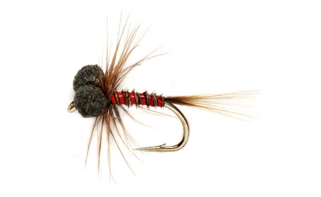 Booby nymfa Baant ocas erven Booby nymfa Baant ocas erven, vel. 12