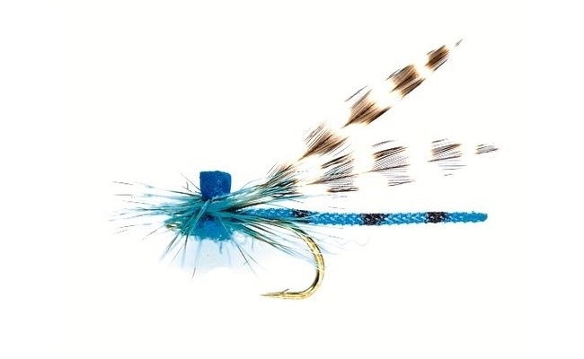 Braided Butt Damsel Braided Butt Damsel, vel. 12