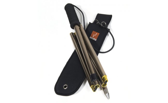 Brodc hl Guideline Brodc hl Guideline