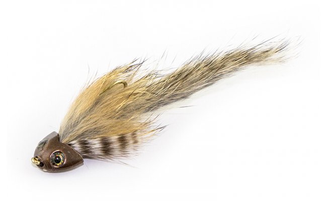 Brown Sculpin Brown Sculpin, vel. 4