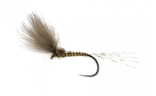 BWO Split Wing Dun BWO Split Wing Dun, vel. 15