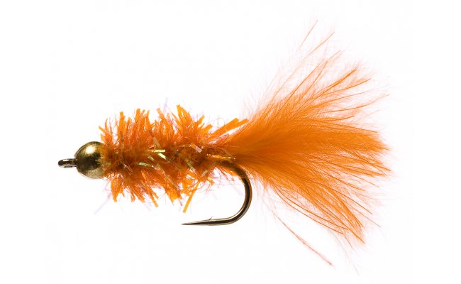 Cactus Fly Orange Cactus Fly Orange, vel. 10