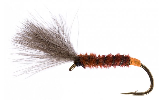 CDC Fiery Brown Shuttlecock CDC Fiery Brown Shuttlecock, �. 12