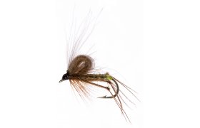 CDC Hopper Olive CDC Hopper Olive, vel. 12