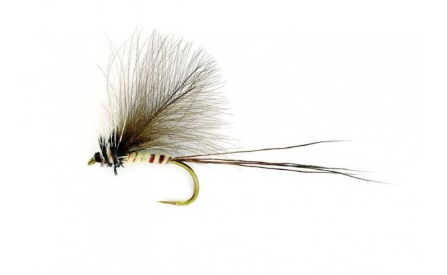 CdC Mayfly Dun CdC Mayfly Dun, vel. 10