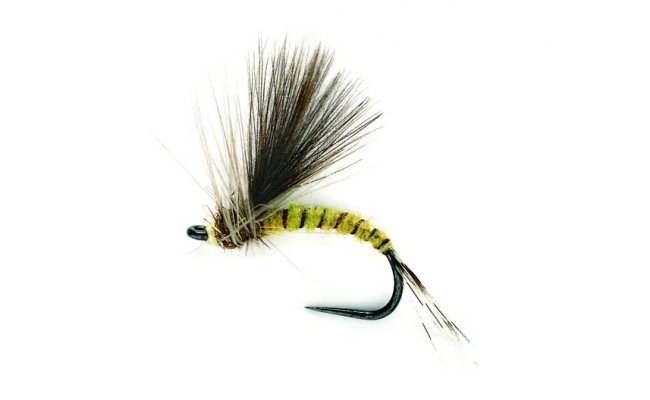 CDC Olive Emerger CDC Olive Emerger, vel. 16
