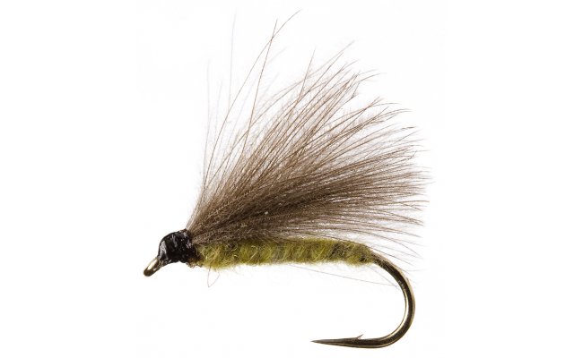 CDC Olive CDC Olive, vel. 14