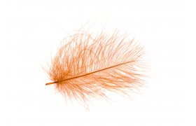 CDC Pe Hends CDC Pe Hends prodn ed