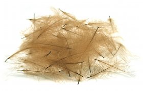 CDC pe  vbrov Veniard CDC Super ... CDC pe  vbrov Veniard CDC Super Select Feathers prodn ed