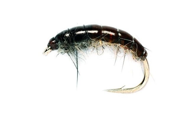 �esk� nymfa Classic Hydropsyche p��rodn� �esk� nymfa Classic Hydropsyche p��rodn�, vel. 10