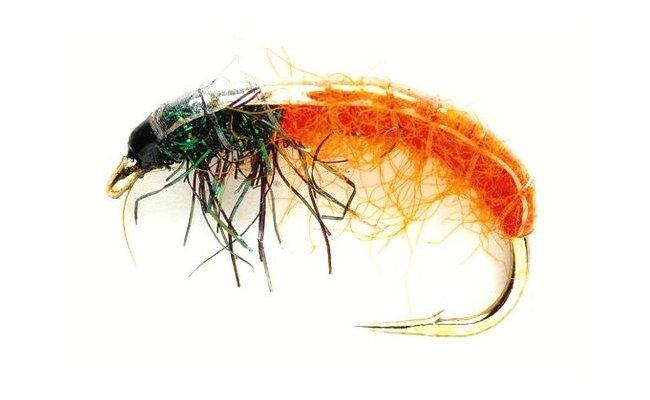 esk nymfa Classic s lesklm hbtkem oranov esk nymfa Classic s lesklm hbtkem oranov, vel. 10