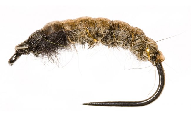 esk nymfa Original Hydropsyche prodn esk nymfa Original Hydropsyche prodn, vel. 10