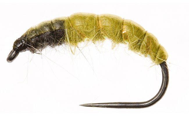 esk nymfa Original Ryacophila olivov esk nymfa Original Ryacophila olivov, vel. 10