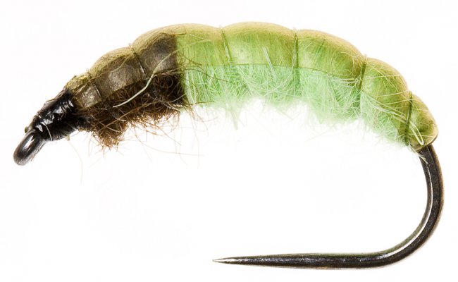 esk nymfa Original Ryacophila svtle zelen esk nymfa Original Ryacophila svtle zelen, vel. 10