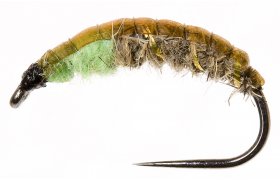 esk nymfa Original se zelenou hlavohrud esk nymfa Original se zelenou hlavohrud, vel. 10