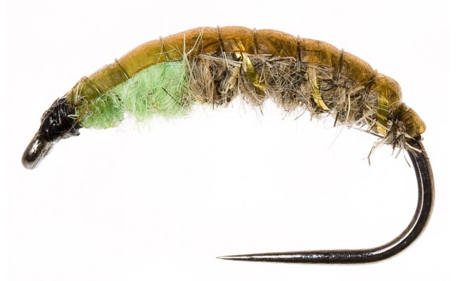 esk nymfa Original se zelenou hlavohrud esk nymfa Original se zelenou hlavohrud, vel. 10