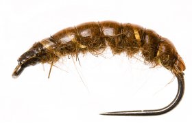 esk nymfa Original se zlatm kroukovnm esk nymfa Original se zlatm kroukovnm, vel. 10