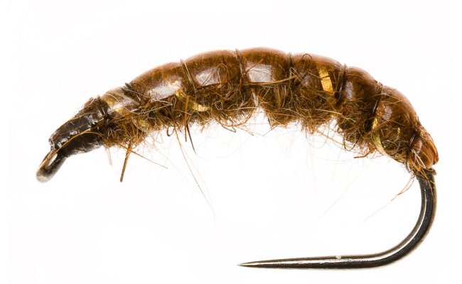 esk nymfa Original se zlatm kroukovnm esk nymfa Original se zlatm kroukovnm, vel. 10