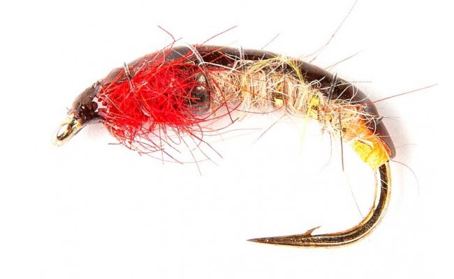 esk tungstenov nymfa s jasn ervenou hrud esk tungstenov nymfa s jasn ervenou hrud, vel. 10