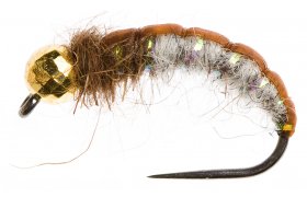 esk nymfa se zlatm korlkem Hydropsyche esk nymfa se zlatm korlkem Hydropsyche, vel. 10