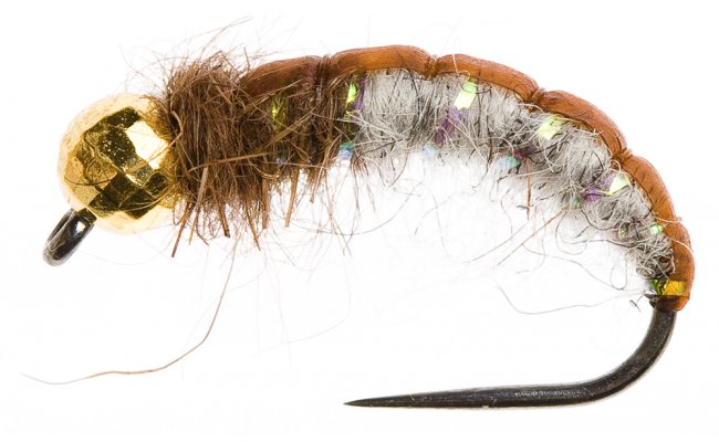 esk nymfa se zlatm korlkem Hydropsyche esk nymfa se zlatm korlkem Hydropsyche, vel. 10