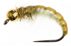 esk nymfa se zlatm korlkem Ryacophila esk nymfa se zlatm korlkem Ryacophila, vel. 10