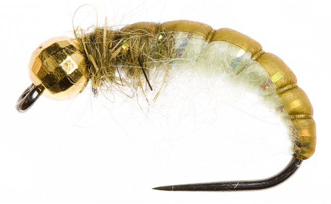 esk nymfa se zlatm korlkem Ryacophila esk nymfa se zlatm korlkem Ryacophila, vel. 10