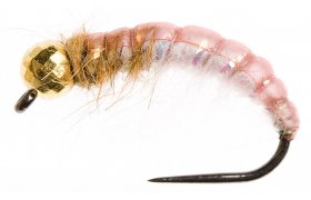 esk nymfa se zlatm korlkem svtle rov esk nymfa se zlatm korlkem svtle rov, vel. 10