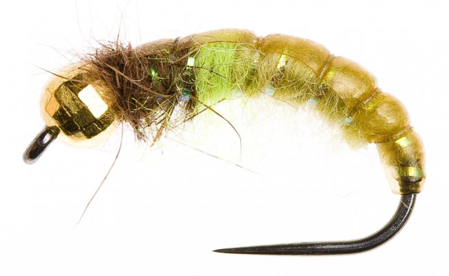 esk nymfa se zlatm korlkem zeleno-olivov esk nymfa se zlatm korlkem zeleno-olivov, vel. 10