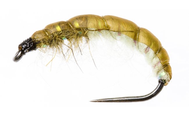 esk nymfa Slim Ryacophila esk nymfa Slim Ryacophila, vel. 10