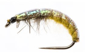 esk nymfa Slim s lesklm hbtkem hndo-olivov esk nymfa Slim s lesklm hbtkem hndo-olivov, vel. 10