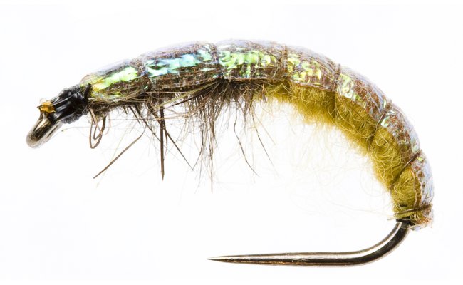 esk nymfa Slim s lesklm hbtkem hndo-olivov esk nymfa Slim s lesklm hbtkem hndo-olivov, vel. 10