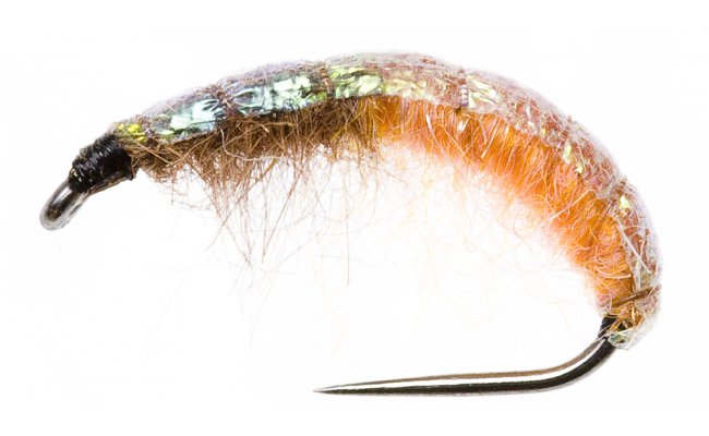 esk nymfa Slim s lesklm hbtkem svtle oranov esk nymfa Slim s lesklm hbtkem svtle oranov, vel. 10